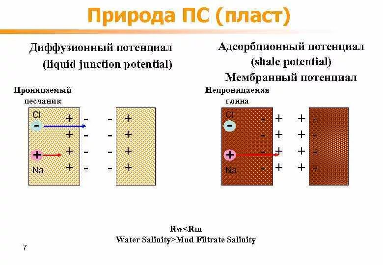 Диффузный и мембранный потенциалы. Диффузионный потенциал на границе двух растворов. Диффузионно адсорбционный потенциал. Адсорбционный и мембранный.