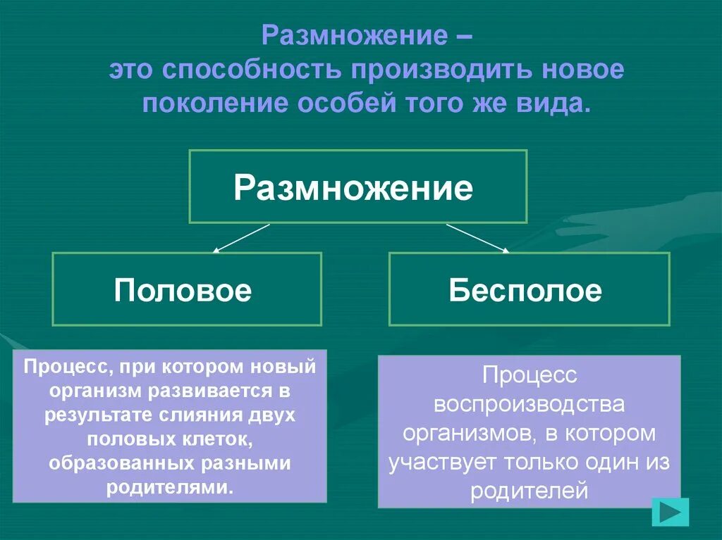 Какие типы размножения различают в живой природе. Бесполое размножение. Беспалова размножение. Половое и бесполое размножение. Ббезполовое размножение.