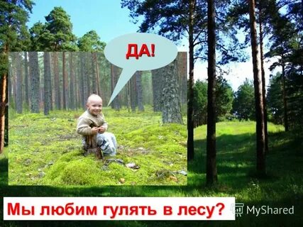 Люблю гулять