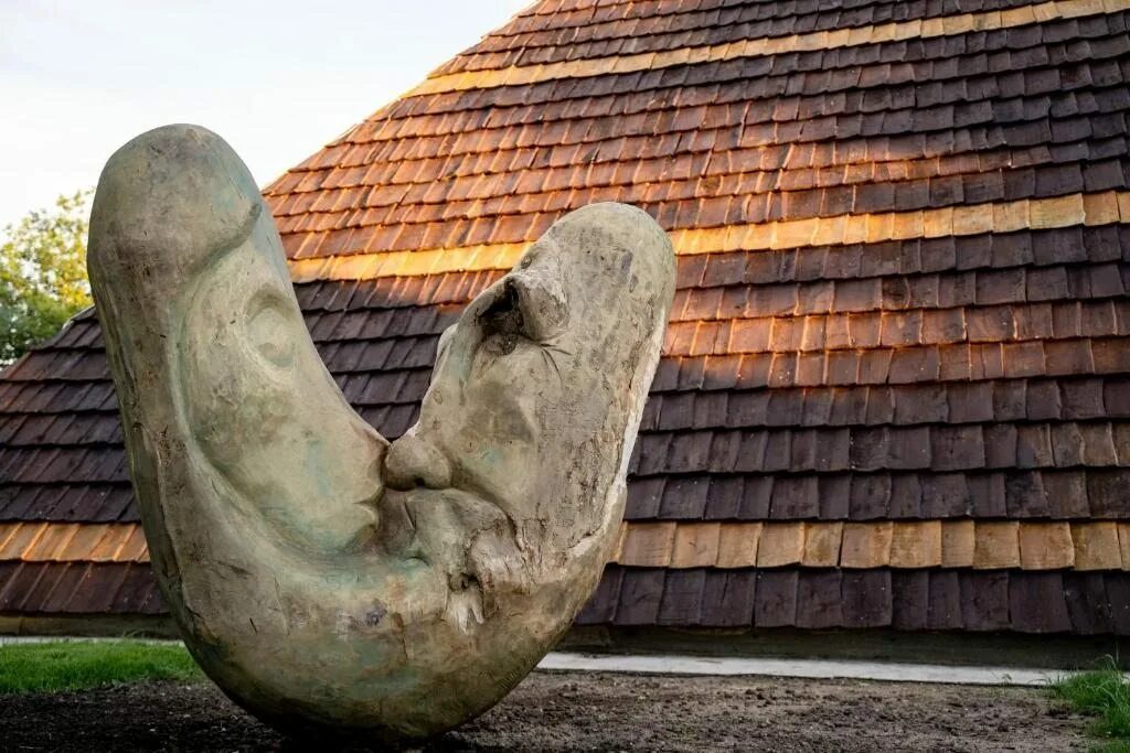 Хутор самбуров каменского. Эко парк излучина самбуров. парк излучина хутор самбуров. эко парк излучина ростовская.