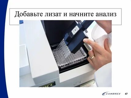 Лал теста