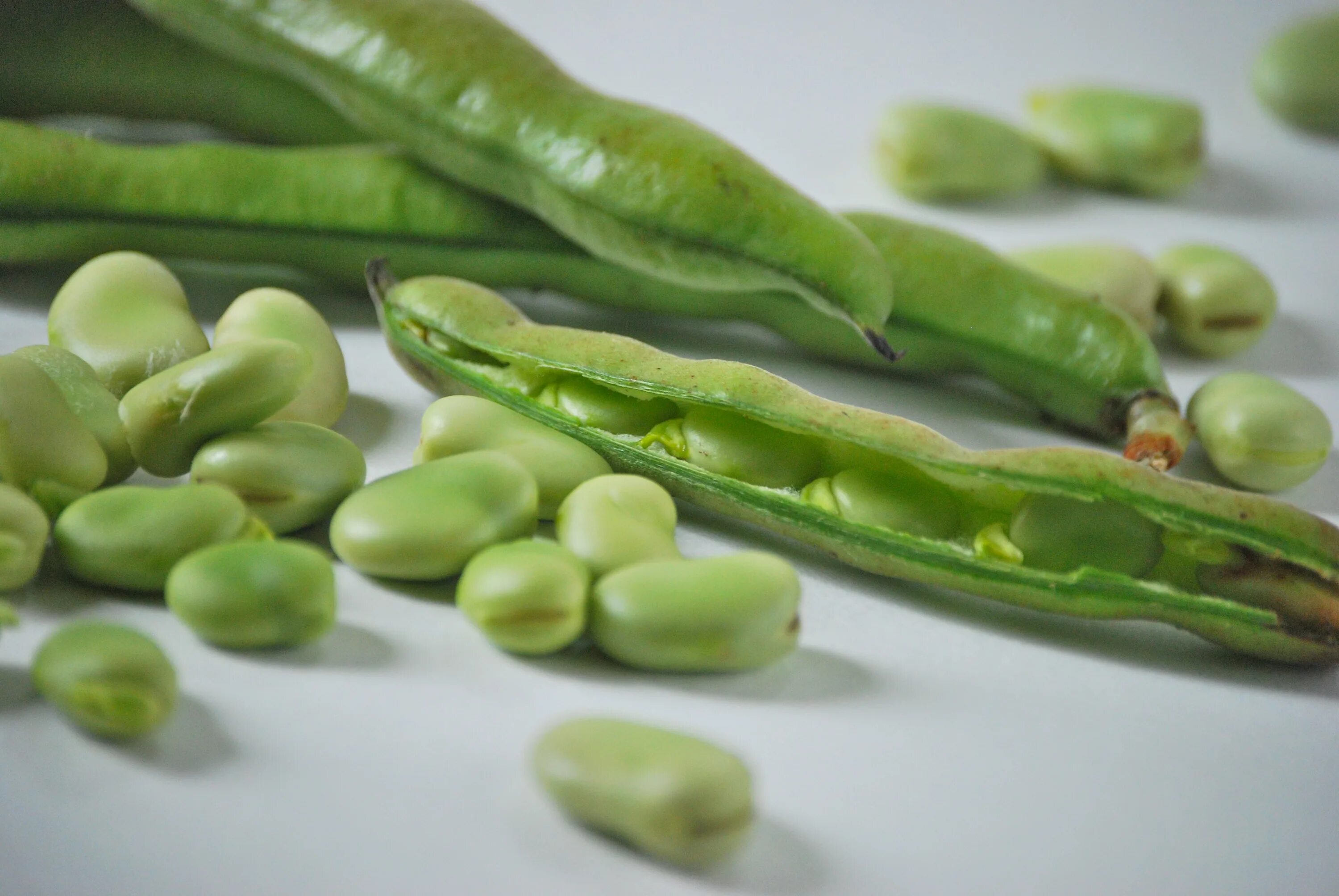 Стручок гороха рисунок. Плод гороха. Плод гороха боб. Горох стилизация. Горох тип плода.