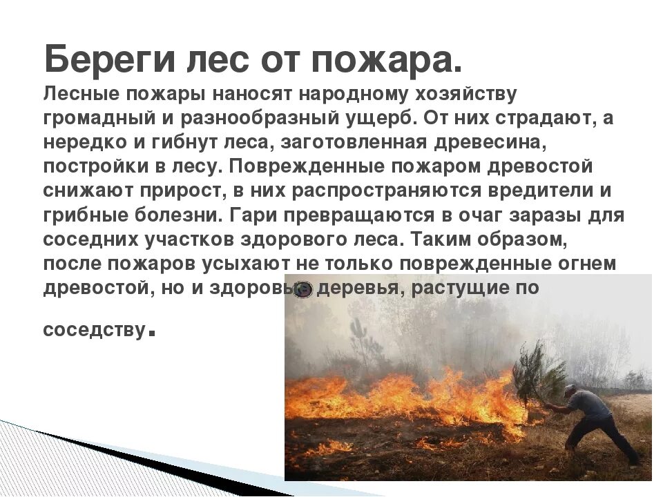 Не бойся огня текст. Текст на тему берегите лес от пожара. Сочинение на тему пожар. Береги лес от пожара текст. Сочинение на тему Лесные пожары.