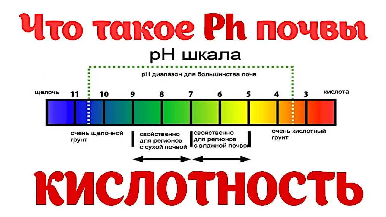 РН 7.5 почвы кислотность. Кислотность почвы 5.5. Кислотно-щелочной баланс почвы для растений таблица. РН шкала кислотности и щелочности почвы.