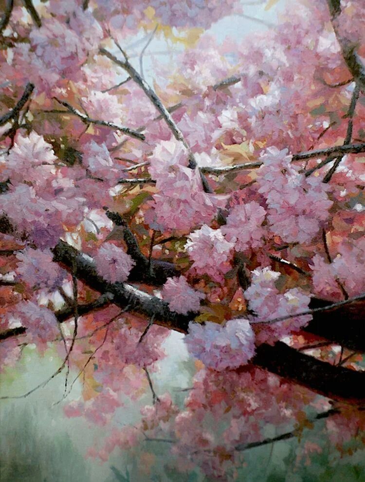 Сакура живопись маслом. Сакура рисунок. Картина черри блоссом гора. Сакура живопись маслом. Ветка сакуры живопись.