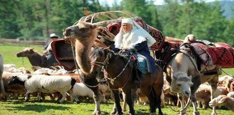 Спермадағы әдемі аналар (видео)