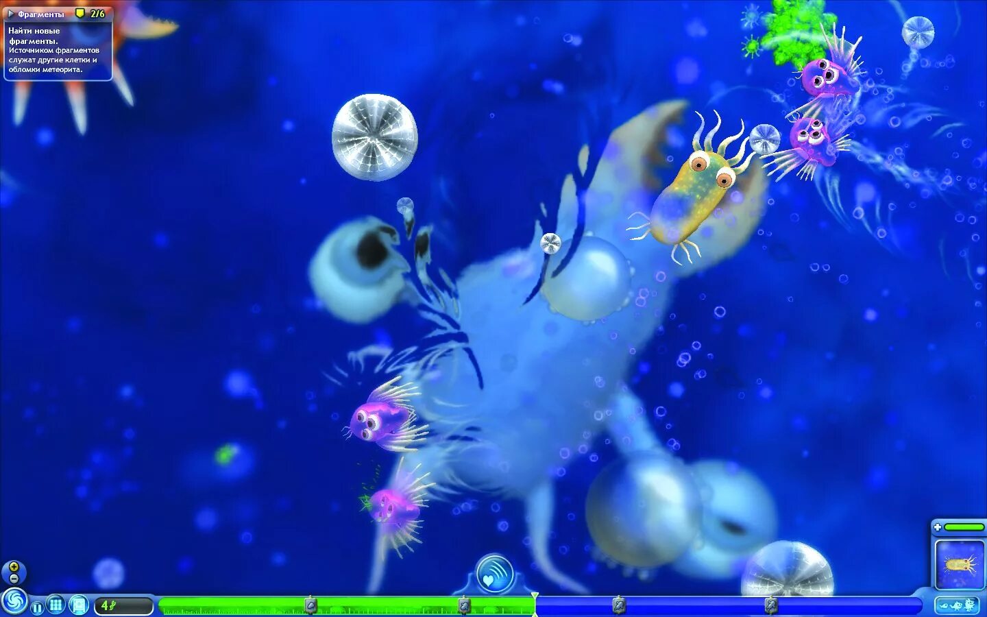 споры обзор