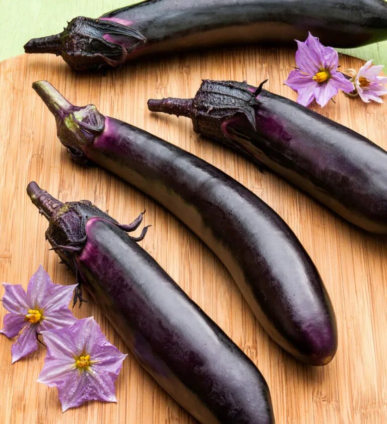 Баклажан фото. Баклажан сорт Халиф. Solanum melongena f1. Большой баклажан. Красивый баклажан.
