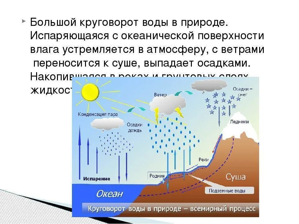 Жидкостей и осадков. Круговорот воды 10 класс биология. Малый круговорот воды в природе 5 класс география. Логическая схема круговорота воды. Круговорот воды в природе схема.