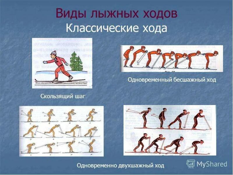 Лыжный спорт виды лыжных ходов. Лыжные ходы. Классические лыжные ходы. Виды классических лыжных ходов. Разновидности классического хода.