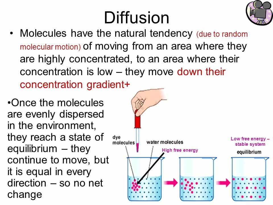 Stable diffusion нейросеть. Stable diffusion картинки. Stable diffusion работы. Теги для stable diffusion. Stable diffusion attention