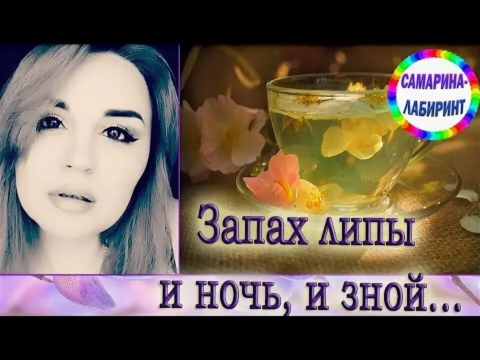 Песня свежий запах лип. Запах липы.