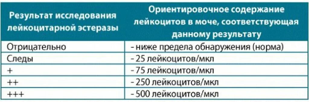 Нитриты в моче у женщин повышены причины. Лейкоциты в моче 500. Лейкоциты в моче 500 у женщин. Лейкоциты в моче 250. Лейкоциты в моче в мкл.