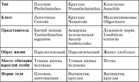 Простейшие кишечнополостные круглые черви моллюски