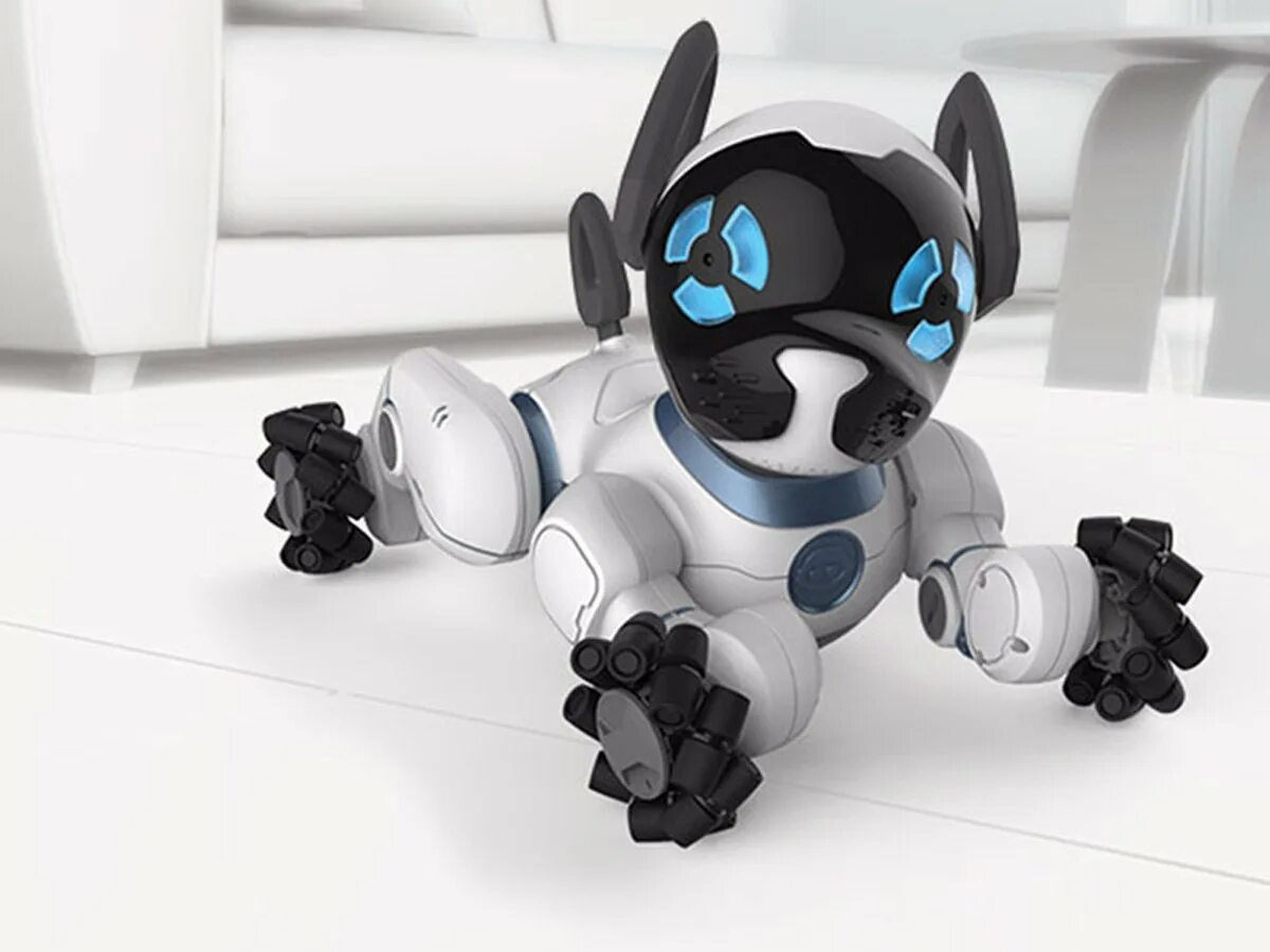 Робот собака WOWWEE Chip. Робот WOWWEE собачка чип 0805eu. Робот WOWWEE Chip, белый. Робот-собака чип 805 WOWWEE. Включи чипик