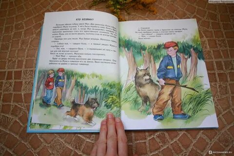 Рассказ кто хозяин осеева