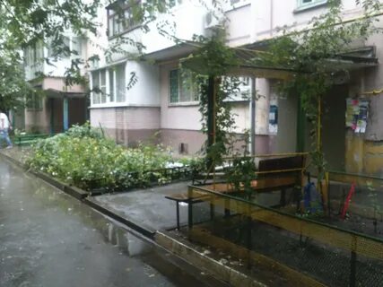 Тсж дон ростов на дону