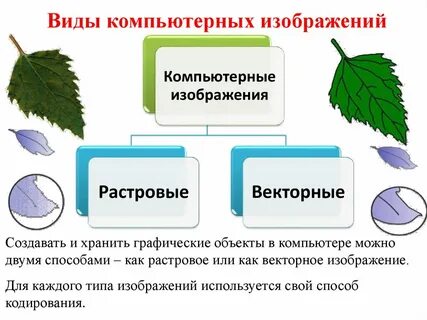 Векторное компьютерное изображение