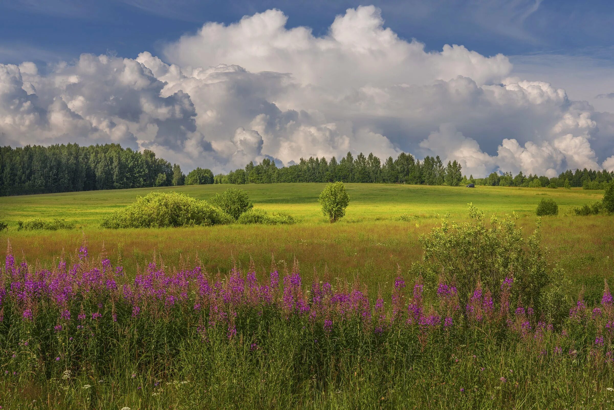 Новгородские поля. Великий новгород природа. Земли сельхозназначения нижнем новгороде. Новгород заливные луга. Поле русское поле.
