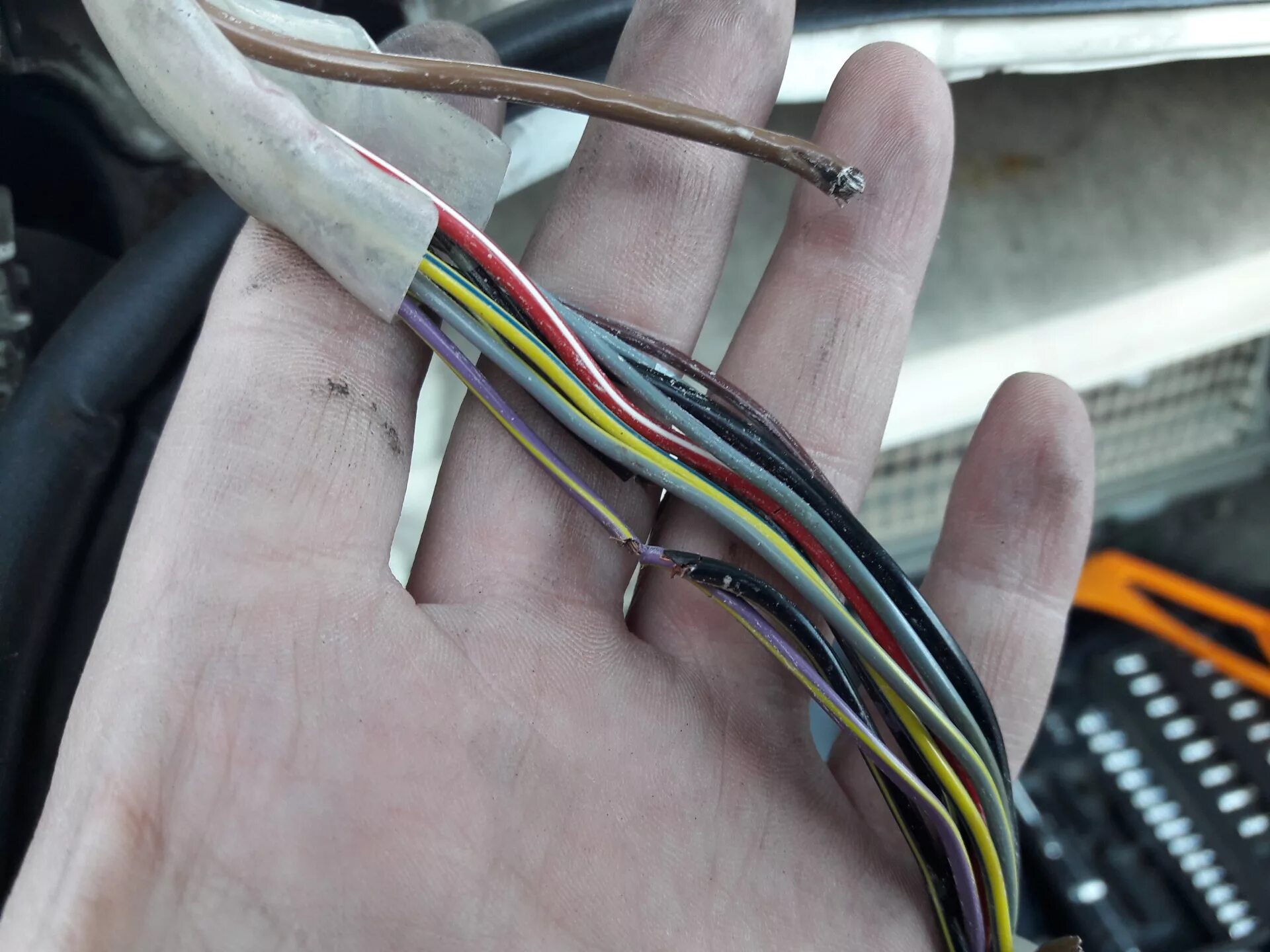 проводка w210 4. проводка концевиков мерседес 124. разъем антенна магнитола мерседес 124. проводка салон на 124. подкапотная проводка w201.