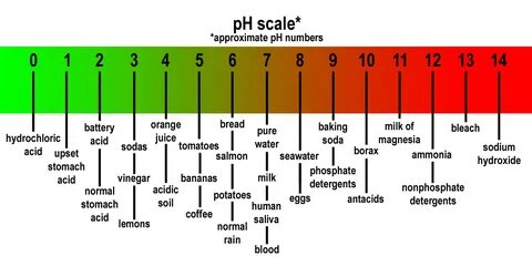 Ph x