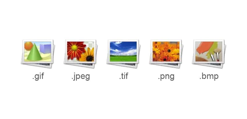 Формат gif в jpeg. Bmp и jpg разница. Форматы фотографий jpg PNG. TIFF И PNG разница.
