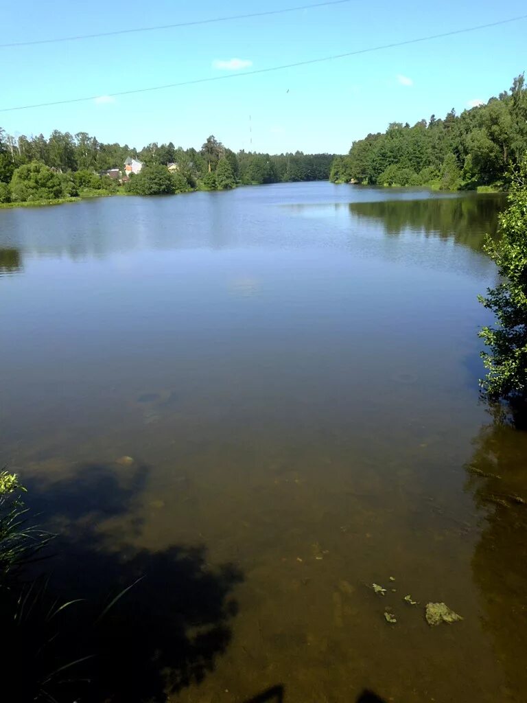 салтыковка пруд. желтый пруд в салтыковке. тарелочкин пруд салтыковка. тарелочкин пруд салтыковка. желтый пруд в салтыковке.