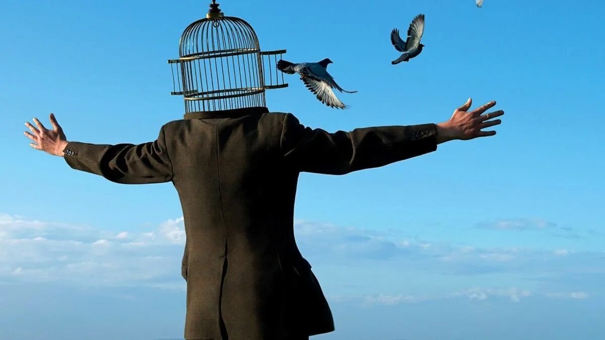 Answer new. The answer - new horizon (2013). the answer rise 2006. the answer - rise. answer &quot;new horizon&quot;.