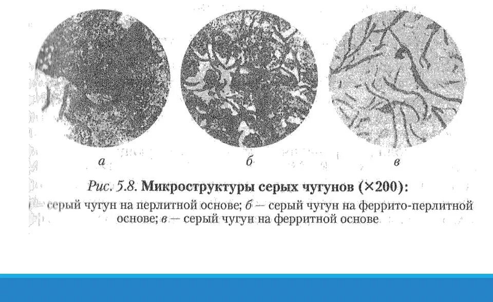 Какой чугун изображен на рисунке. Схема микроструктуры серого чугуна. Структура отбеленного чугуна. Структура белого и серого чугуна. Структура серого перлитного чугуна.