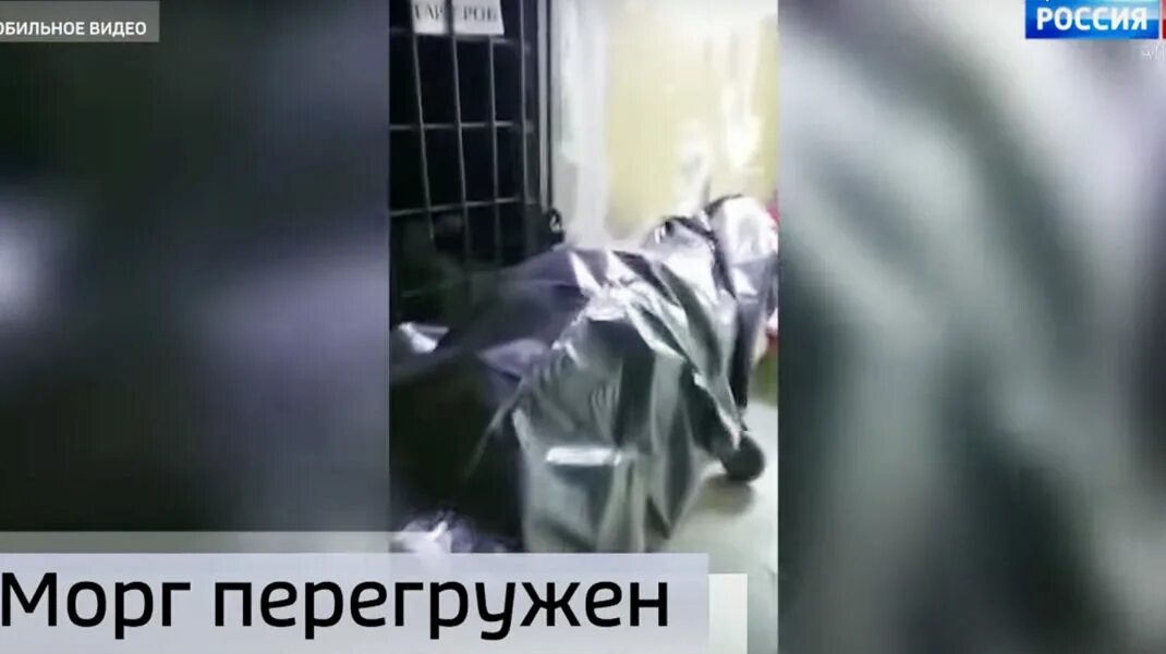 Скончалась от сердечного приступа. Скончалась от сердечного приступа