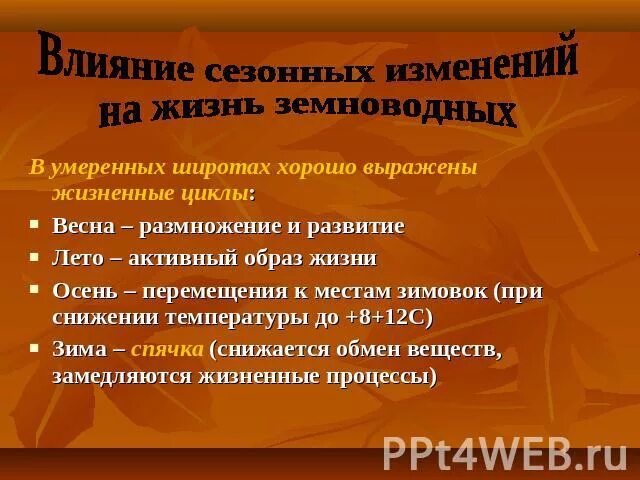 Сезонные изменения в жизни земноводных. Сезонные явления в жизни пресмыкающихся. Сезонные явления в жизни земноводных. Сезонные изменения в жизни земноводных 7 класс.