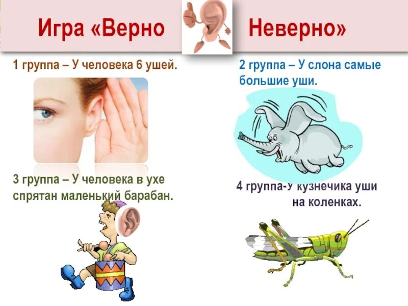 Пальчиковые кинезиологические упражнения ухо нос. Органы чувств задания для дошкольников. Касание мочки уха. Ухо-нос кинезиологическое упражнение. Ухо-нос кинезиологическое упражнение.