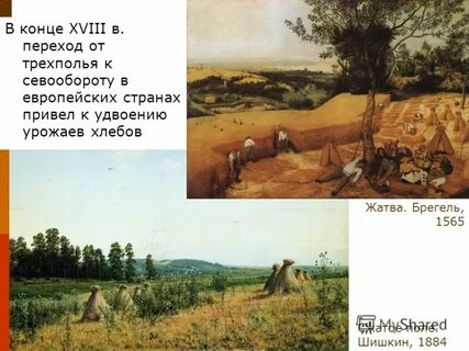 С чем связан переход к трехполью
