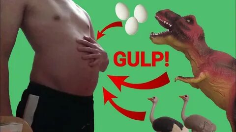 Vore story