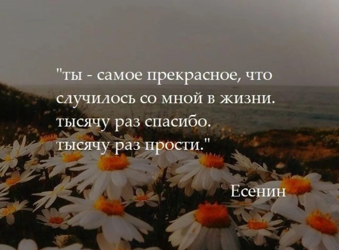 На встречу с ним я не надеялся. Самое прекрасное в жизни. Прекрасное рядом цитаты. Ты лучшее что случилось со мной в жизни. Чтобы не случилось цитаты.