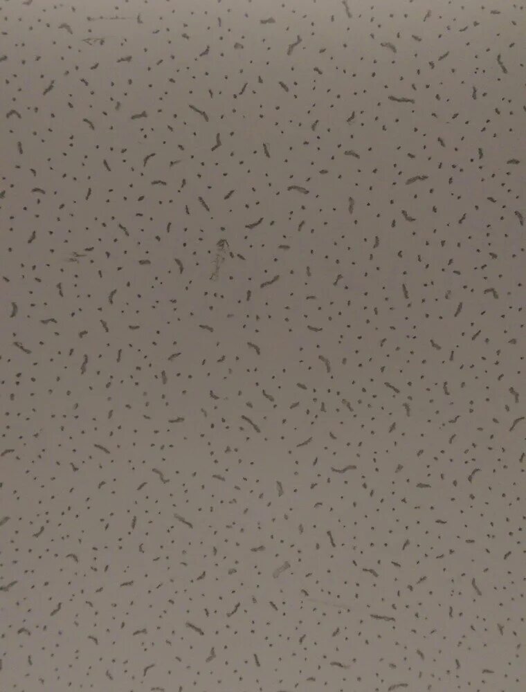 панель потолочная armstrong baikal. панель потолочная baikal (board), 600х600х12мм armstrong. байкал потолочные. плита потолочная ангара 600х600х7мм. плита потолочная armstrong baikal 600*600*12мм.