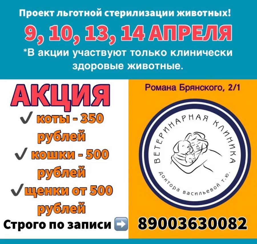 льготная стерилизация животных. льготная стерилизация. льготная стерилизация животных в новосибирске. льготная стерилизация собак. стерилизация вет инструментов.