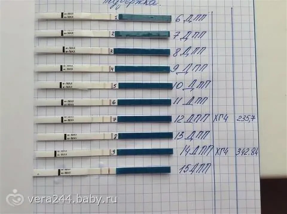 Удачная беременность после. Тесты после подсадки. Ощущения после подсадки эмбриона. Тесты не беременность после эко. Эмбрион после криопереноса.