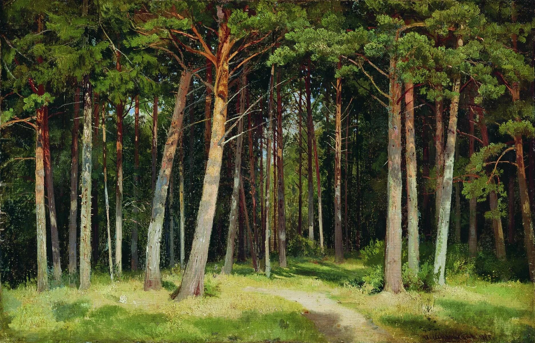 Сосновый бор картина сочинение. Шишкин Сосновый лес 1885.