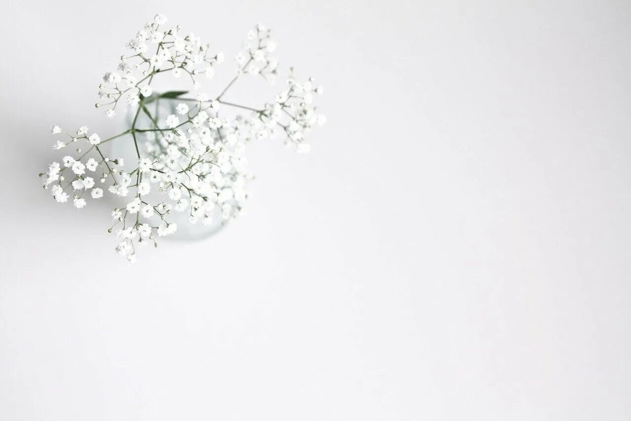 Белый цвет рисунок. Цветочки Минимализм. Красивый белый фон. Белые обои.