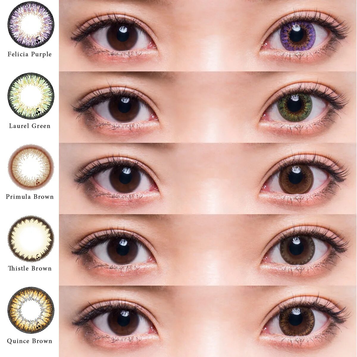 Цветные контактные линзы с диоптриями для карих глаз. Цветные линзы для глаз с диоптриями для карих глаз. Линзы Soft contact Lens Purple. Светлые линзы на карие глаза.