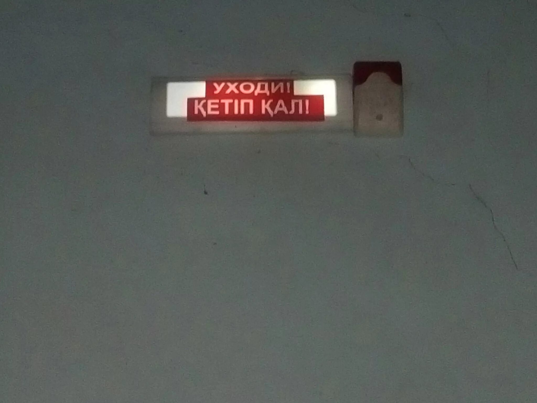 Здесь вам всегда рады картинки. Славянский медведь. Смешные объявления и надписи. Смешные надписи. Тут вам не там симферополь кафе.