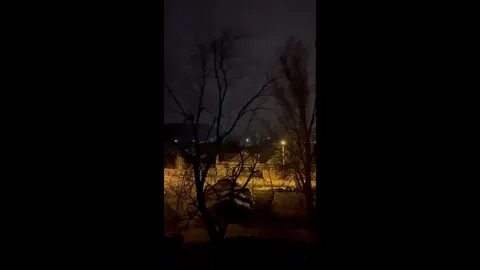 14 ночей