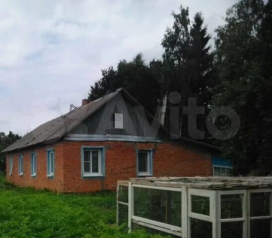 Стодолище починковский район. Авито стодолище. Стодолище смоленской области. Стодолище смоленская область починковский район поселок. Авито стодолище.