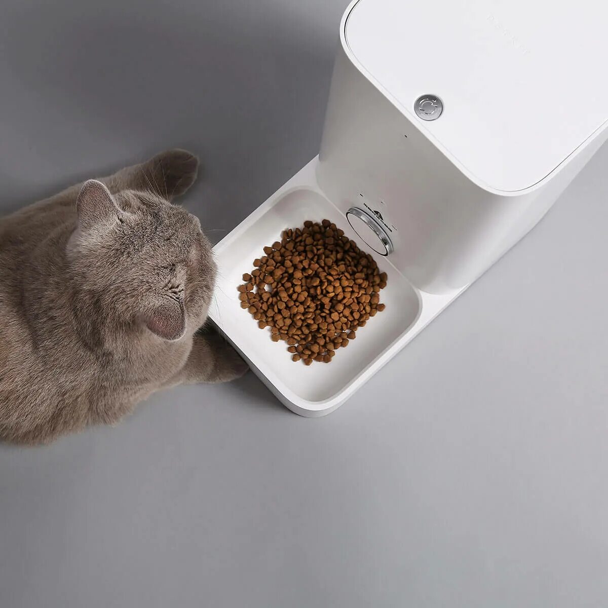 Petkit fresh element. Автоматическая кормушка для кошек xiaomi petkit. xiaomi smart pet feeder. xiaomi smart pet food feeder. автоматическая кормушка pet feeder.