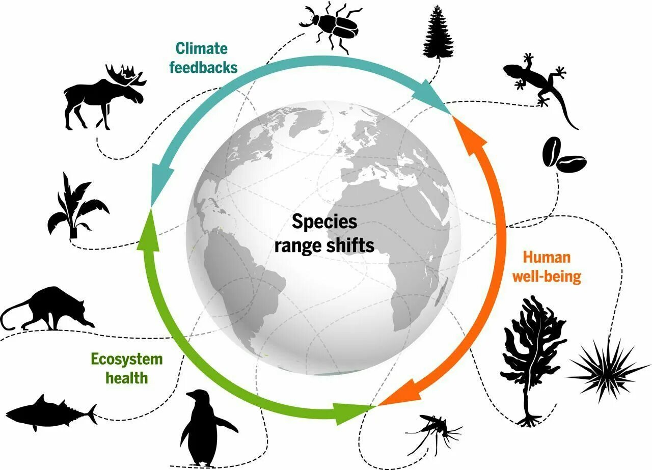 Change range. Biodiversity and ecosystem loss. экосистема человека. climate change biodiversity. изменение климата биоразнообразие.