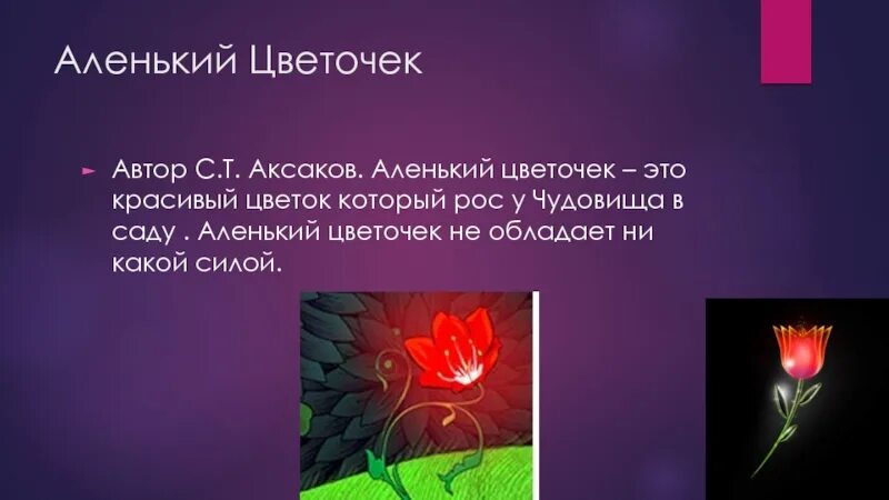 Аленький цветочек краткое содержание 2 класс. Аленький цветочек. С.Аксаков Аленький цветочек. Аленький цветочек Автор. Аленький цветочек презентация.