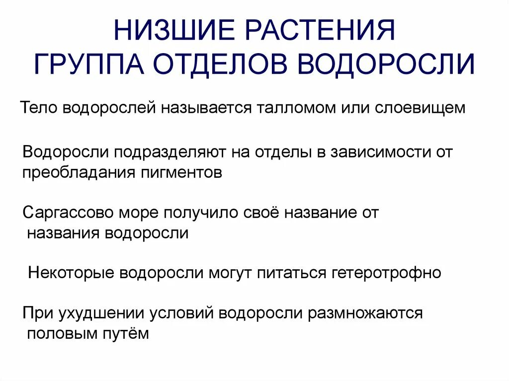 Группа отделов водоросли. Группа отделов низших растений. Низшие растения. Отдел группа.