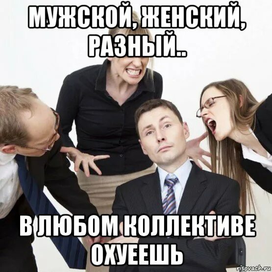 В любом коллективе есть. Новый коллектив мем. мемы про коллектив. мемы про женский коллектив. мужчина в женском коллективе мем.