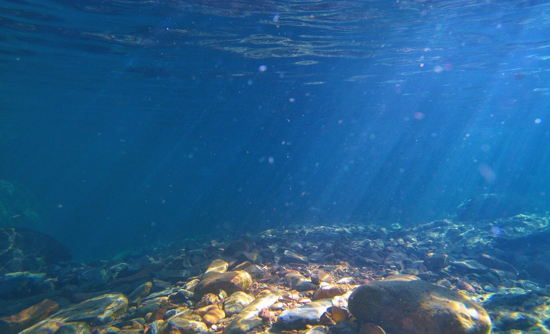 И тихая прозрачная вода. Океан внутри тихий океан. Дно моря. Морское дно. Дно океана.